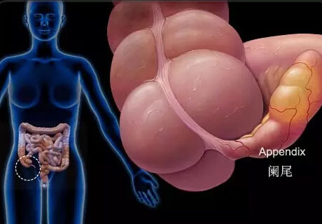 201503311708131289a 201503311708131289a