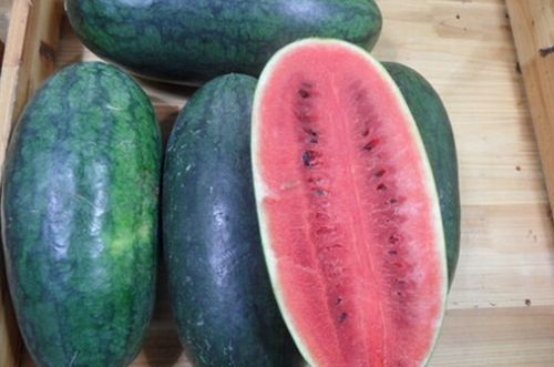 W020150403355163607500 W020150403355163607500