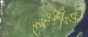 W020150403371481081726 W020150403371481081726