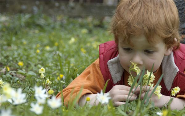 mp9275806_1428031361606_5 mp9275806_1428031361606_5