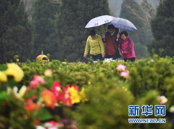 1114872867_14281409367261n 1114872867_14281409367261n