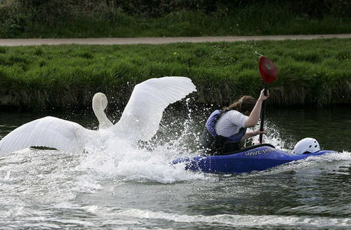 9CFAA197B263DABE4E422A14EBBC160A 9CFAA197B263DABE4E422A14EBBC160A