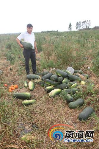 3798713111 3798713111