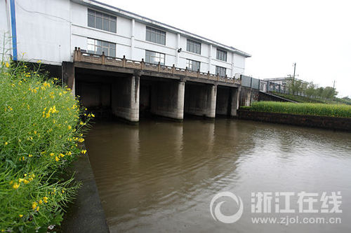 排涝闸内侧水域情况 排涝闸内侧水域情况