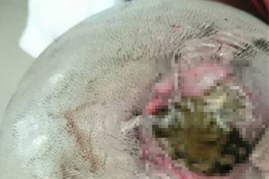 13141557604659285695 13141557604659285695