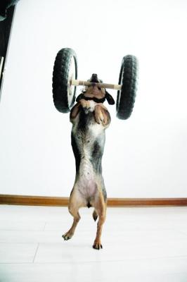 20150412163445a9ac1 20150412163445a9ac1