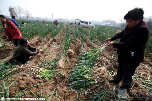 1428888905116 1428888905116