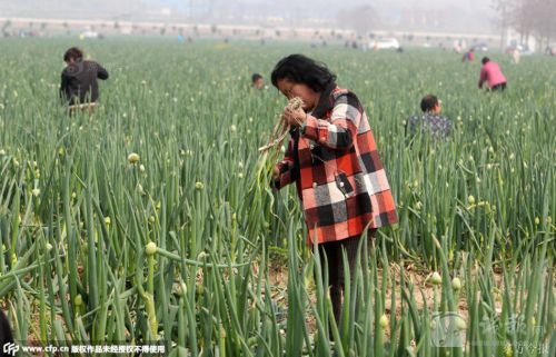 1428888923671 1428888923671