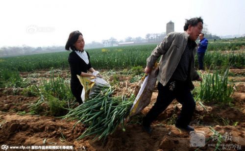 1428888888258 1428888888258