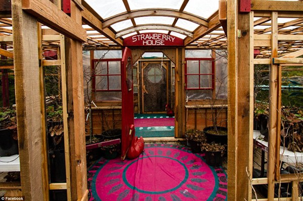 127683904_14289015332541n 127683904_14289015332541n