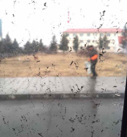 内蒙古阿尔山市下泥雨天空变红4 内蒙古阿尔山市下泥雨天空变红4