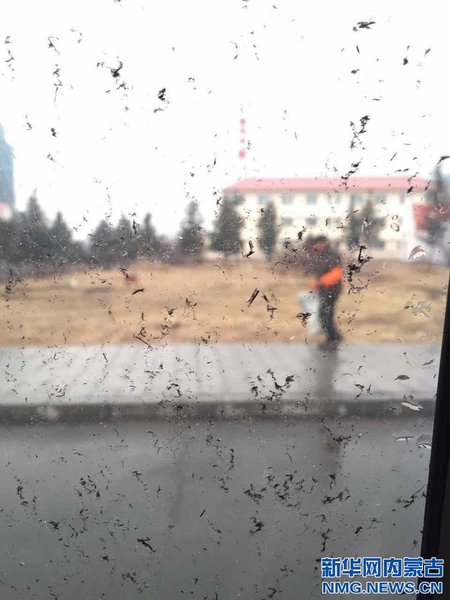 4月15日下午2点左右，内蒙古阿尔山市惊现红色天空，并伴有小雨，雨水中含黑色物质。2点40分，红色天空开始消散，2点50分，天空恢复正常。（王靖 摄影报道）3