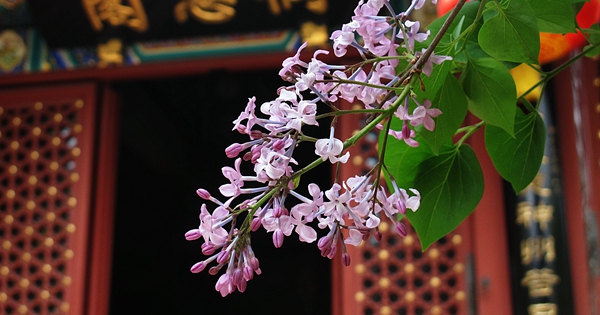 B20150417003-zx10_副本 B20150417003-zx10_副本