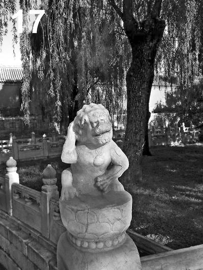 “护裆萌狮” “护裆萌狮”