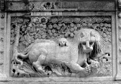 “披头散发”狮 “披头散发”狮