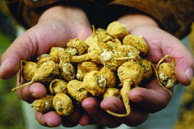 2015042011584354f32 2015042011584354f32