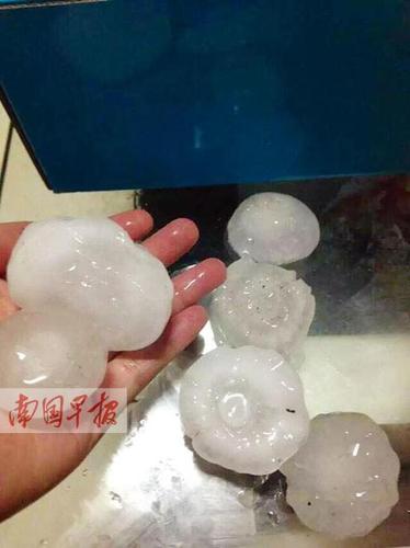 桂林象山区联达雅居居民在小区里拍到的冰雹。刘荣清摄