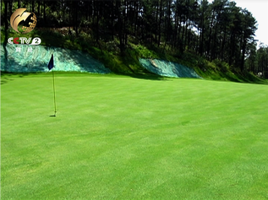 2371634954 2371634954