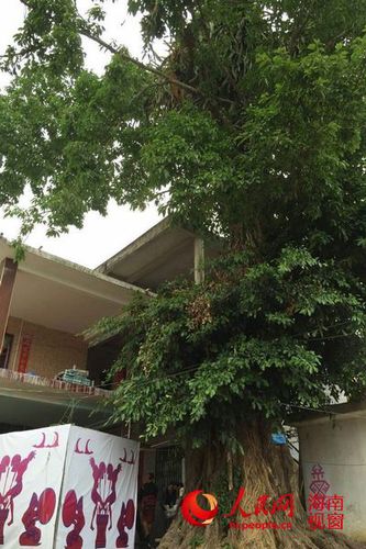 41E55EDAB7AFFCF2DAEB6290003D43B5 41E55EDAB7AFFCF2DAEB6290003D43B5