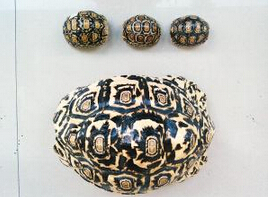 QQ截图20150422154409 QQ截图20150422154409