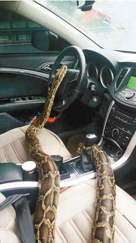 QQ截图20150422154422 QQ截图20150422154422