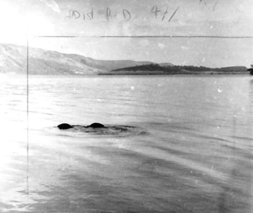 EEE58858D8D3003D2E81DCB652AFA638