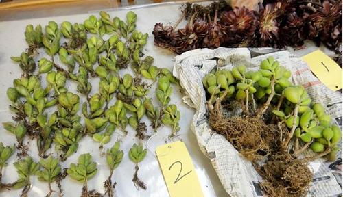 QQ截图20150423160847 QQ截图20150423160847