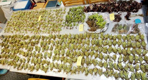 QQ截图20150423160855 QQ截图20150423160855