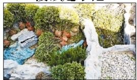 张必清自拍的水池子 张必清自拍的水池子