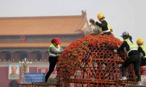 目前天安门广场正在进行五一花坛的摆放摄 记者杨益 目前天安门广场正在进行五一花坛的摆放摄 记者杨益