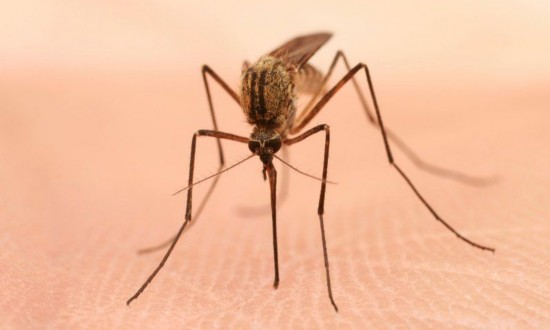 16607847136290351635 16607847136290351635