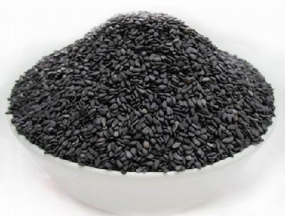 16976796648770428110 16976796648770428110