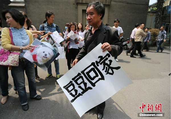 南京老伯满城找爱犬 88天写下心痛日记6 南京老伯满城找爱犬 88天写下心痛日记6