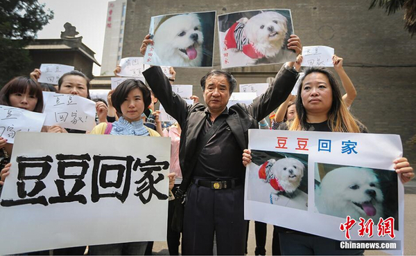 南京老伯满城找爱犬 88天写下心痛日记2 南京老伯满城找爱犬 88天写下心痛日记2