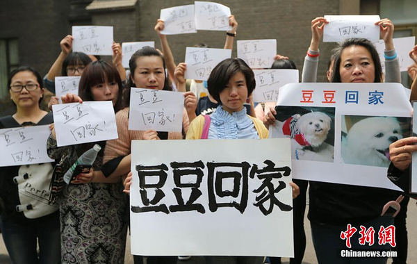 南京老伯满城找爱犬 88天写下心痛日记1 南京老伯满城找爱犬 88天写下心痛日记1