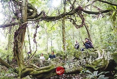 201504280523200ec7b 201504280523200ec7b