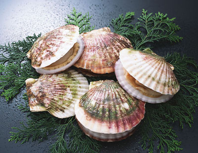 MAIN201504281018000587872433232 MAIN201504281018000587872433232