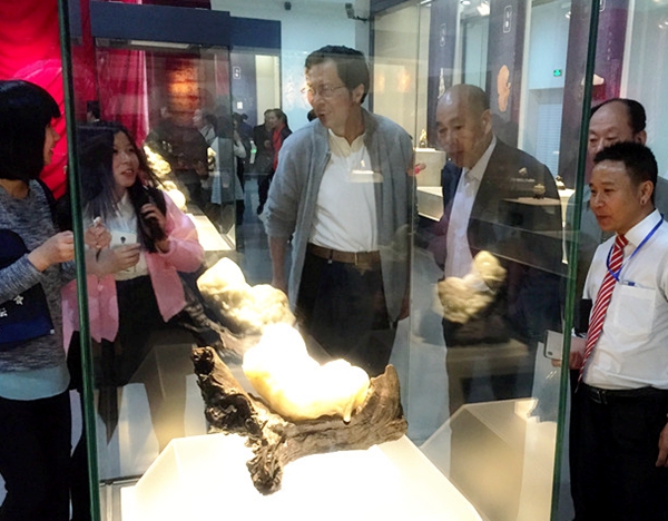 展览现场_副本 展览现场_副本