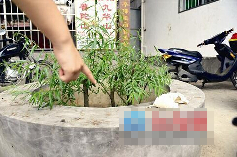 QQ截图20150429105111 QQ截图20150429105111