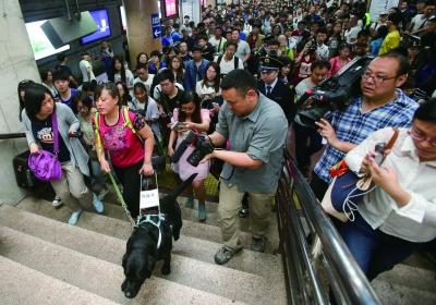 陈燕带着导盲犬顺利进站   陈燕带着导盲犬顺利进站
