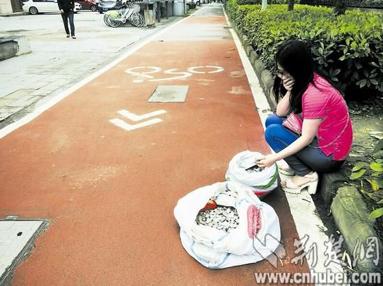 图为：吴女士想把百余斤硬币换成整钱，遭多家银行推托 楚天都市报记者叶茂林摄