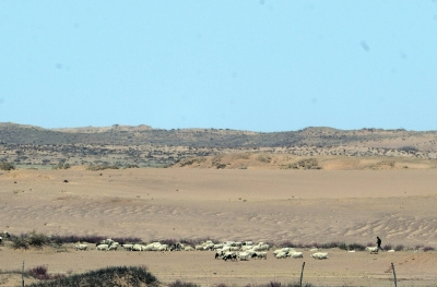 U466P4T8D7251836F116DT20150505040051 U466P4T8D7251836F116DT20150505040051