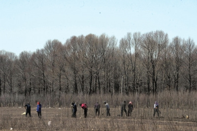 U466P4T8D7251837F116DT20150505040112 U466P4T8D7251837F116DT20150505040112