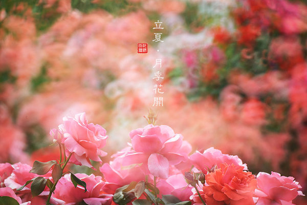 MAIN201505051555000258680792384 MAIN201505051555000258680792384