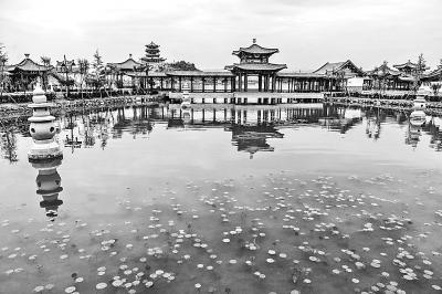 4115710426 4115710426