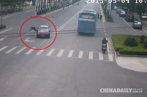 20150506104101769af 20150506104101769af