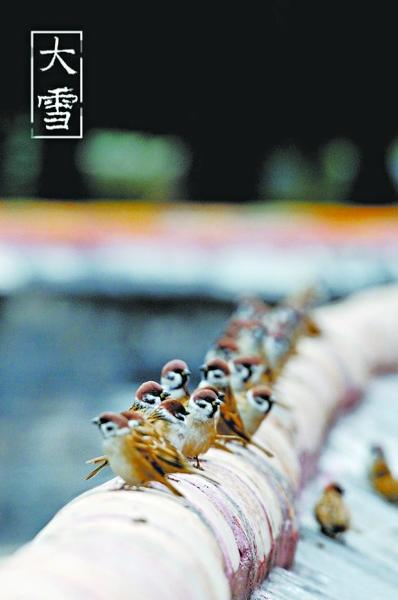 3488329367 3488329367