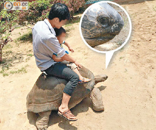 20150507101141bd091 20150507101141bd091