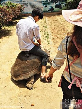 2015050710114310ae5 2015050710114310ae5