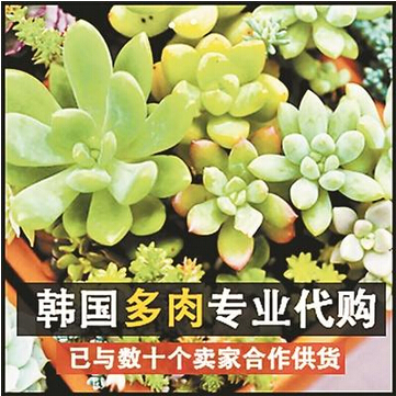 QQ截图20150508092048 QQ截图20150508092048